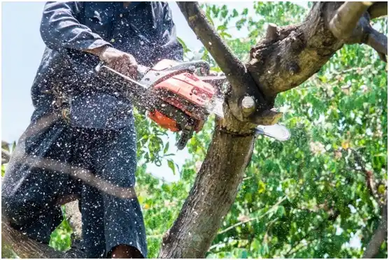 tree services McChord AFB